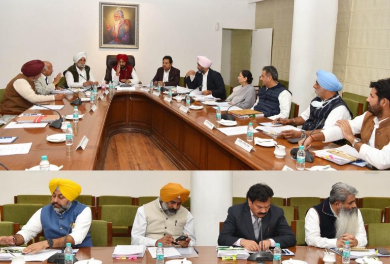 Punjab Cabinet 16th November Decisions