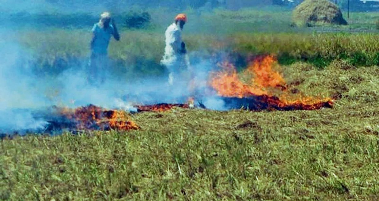 Stubble burning issue: Commission's response on air quality