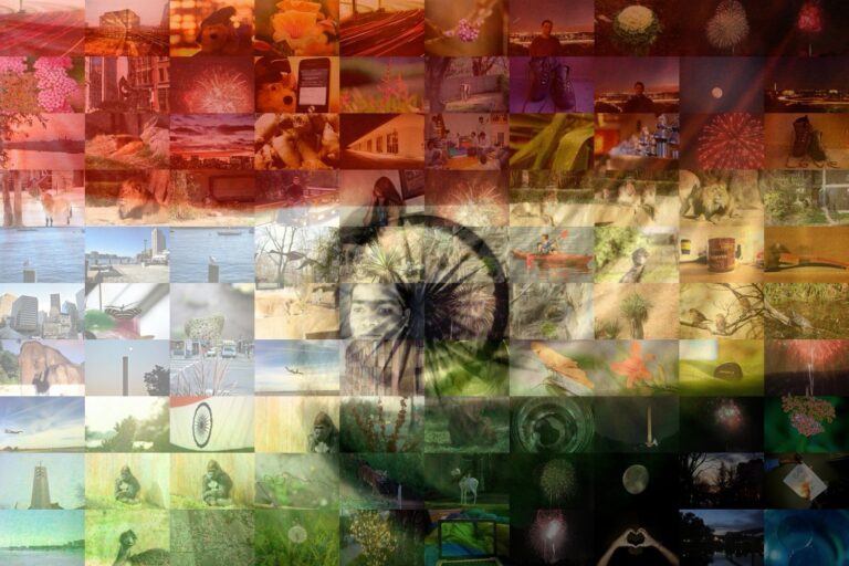 Constitutional Patriotism: An Islamic Tradition