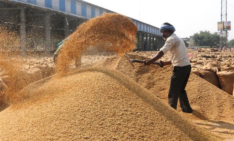 ਝੋਨੇ ਦੀ ਖਰੀਦ: ਝੋਨੇ ਦੀ ਖਰੀਦ ਲਈ 42,786 ਕਰੋੜ ਰੁਪਏ