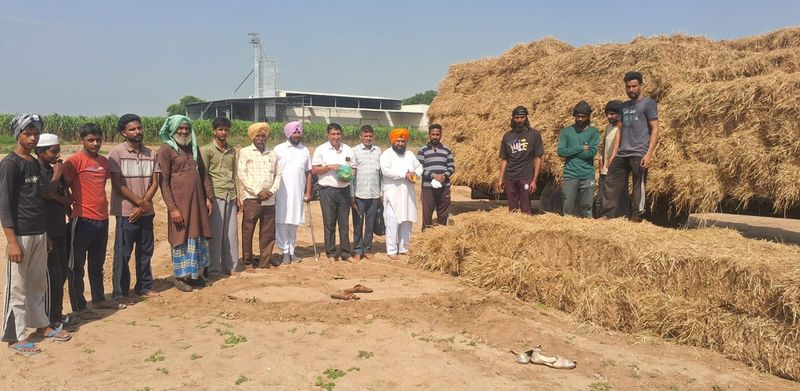 ਚਾਵਲ ਦੀ ਤੂੜੀ ਦੀਆਂ ਗੱਠਾਂ: ਪਰਾਗ ਚਾਵਲ ਦੀ ਤੂੜੀ ਦੀਆਂ ਗੱਠਾਂ: ਪਰਾਗ