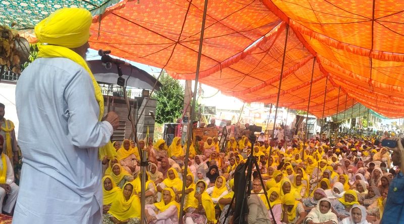 ਬੀਕੇਯੂ ਉਗਰਾਹਨ ਵਿਰੋਧ ਪ੍ਰਦਰਸ਼ਨ: ਕਿਸਾਨਾਂ ਨੇ ਆਪਣੇ ਫੈਸਲੇ ਲਈ ਅਰਜ਼ੀ ਦਿੱਤੀ