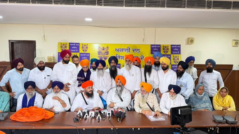 ਪੰਜਾਬ ਨਿਊਜ਼: ਪੰਜਾਬ ਨਿਊਜ਼ ਲਈ ਨਵੇਂ ਨੰਬਰ ‘ਤੇ ਕਲਿੱਕ ਕਰੋ: ਇਸ ਪਲਾਨ ਲਈ ਸਭ ਤੋਂ ਵੱਧ ਟੈਕਸ