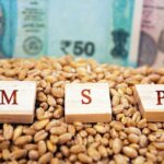 ਕਣਕ ਦੇ MSP ਵਿੱਚ 25 ਰੁਪਏ ਦਾ ਵਾਧਾ ਕਿਸਾਨਾਂ ਨਾਲ ਕੋਝਾ ਮਜ਼ਾਕ: ਰਛਪਾਲ ਜੋੜਾਮਾਜਰਾ
