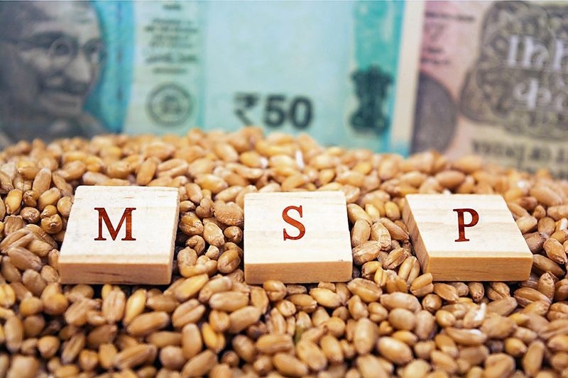 ਕਣਕ ਦੇ MSP ਵਿੱਚ 25 ਰੁਪਏ ਦਾ ਵਾਧਾ ਕਿਸਾਨਾਂ ਨਾਲ ਕੋਝਾ ਮਜ਼ਾਕ: ਰਛਪਾਲ ਜੋੜਾਮਾਜਰਾ