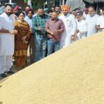 ਝੋਨੇ ਦੀ ਖਰੀਦ: ਝੋਨੇ ਦੀ ਖਰੀਦ