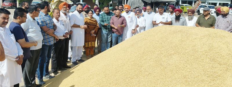 ਝੋਨੇ ਦੀ ਖਰੀਦ: ਝੋਨੇ ਦੀ ਖਰੀਦ