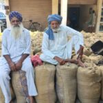 ਝੋਨੇ ਦੀ ਖਰੀਦ: ਝੋਨੇ ਦੀ ਖਰੀਦ: ਝੋਨੇ ਦੀ ਖਰੀਦ
