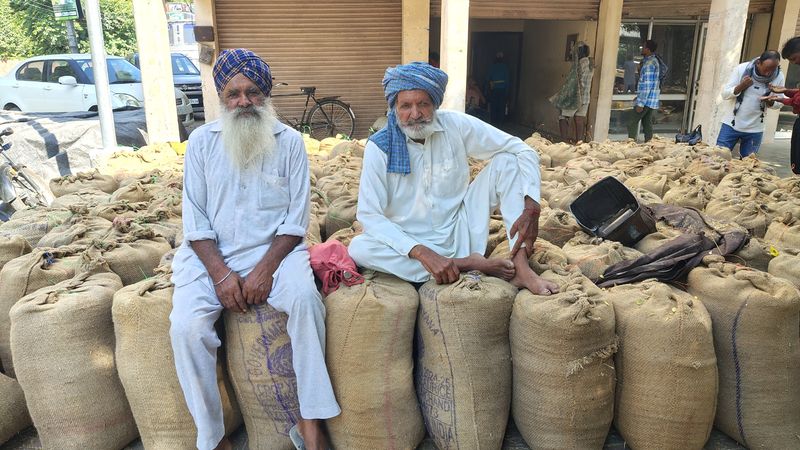 ਝੋਨੇ ਦੀ ਖਰੀਦ: ਝੋਨੇ ਦੀ ਖਰੀਦ: ਝੋਨੇ ਦੀ ਖਰੀਦ