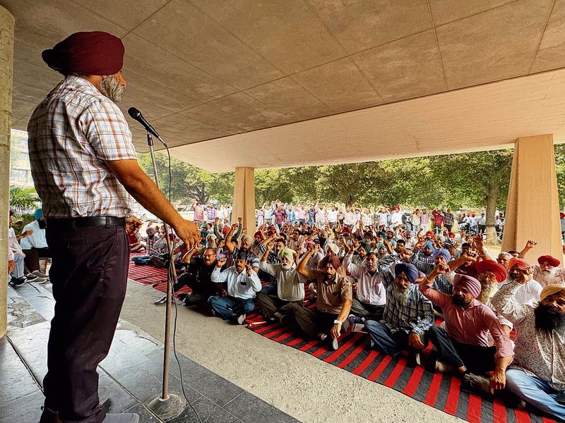 ਪੀਏਯੂ ਮੁਲਾਜ਼ਮਾਂ ਦੀ ਰੈਲੀ: ਇਸ ਮਾਮਲੇ ਵਿੱਚ ਲੋਕਾਂ ਦੀ ਰੈਲੀ: ਇਸ ਮਾਮਲੇ ਵਿੱਚ ਕਰਮਚਾਰੀਆਂ ਦੀ ਰੈਲੀ: