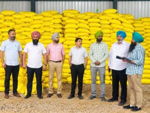 ਪੰਜਾਬ: ਪੰਜਾਬ ਯੂਰੀਆ ਦੀ ਚੀਨੀ-ਕਾਨੂੰਨੀ ਵਰਤੋਂ ਦਾ ਪਰਦਾਫਾਫਾ; ਛਾਪੇਮਾਰੀਟਰ 4,000 ਥੈਲੇ ਜ਼ਬਤ, 2 ਅੰਕ
