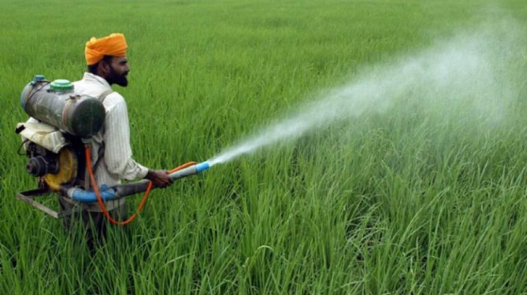 ਰਾਜਸਥਾਨ ਵਿੱਚ 2024 ਤੋਂ 2026 ਦਰਮਿਆਨ ਅਸੁਰੱਖਿਅਤ ਕੀਟਨਾਸ਼ਕਾਂ ਦੀ ਵਰਤੋਂ ਨਾਲ 535 ਲੋਕਾਂ ਦੀ ਮੌਤ ਹੋ ਗਈ।